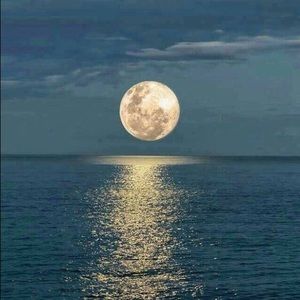 Meet your Posher, Miriam